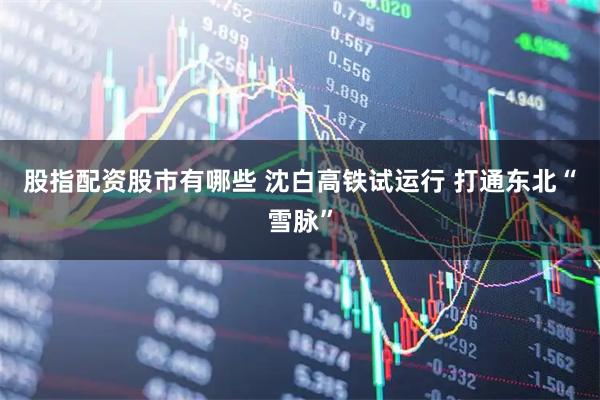 股指配资股市有哪些 沈白高铁试运行&#32;打通东北“雪脉”