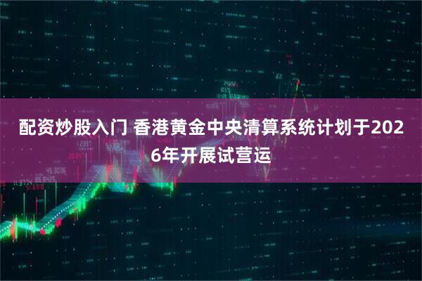 配资炒股入门 香港黄金中央清算系统计划于2026年开展试营运