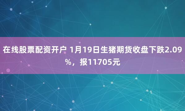 在线股票配资开户 1月19日生猪期货收盘下跌2.09%，报11705元