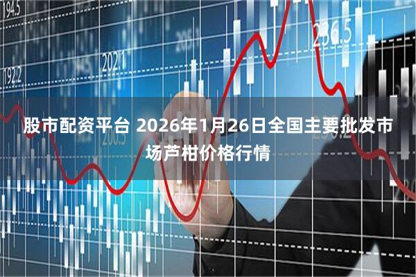 股市配资平台 2026年1月26日全国主要批发市场芦柑价格行情
