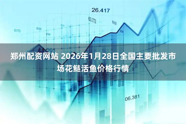 郑州配资网站 2026年1月28日全国主要批发市场花鲢活鱼价格行情